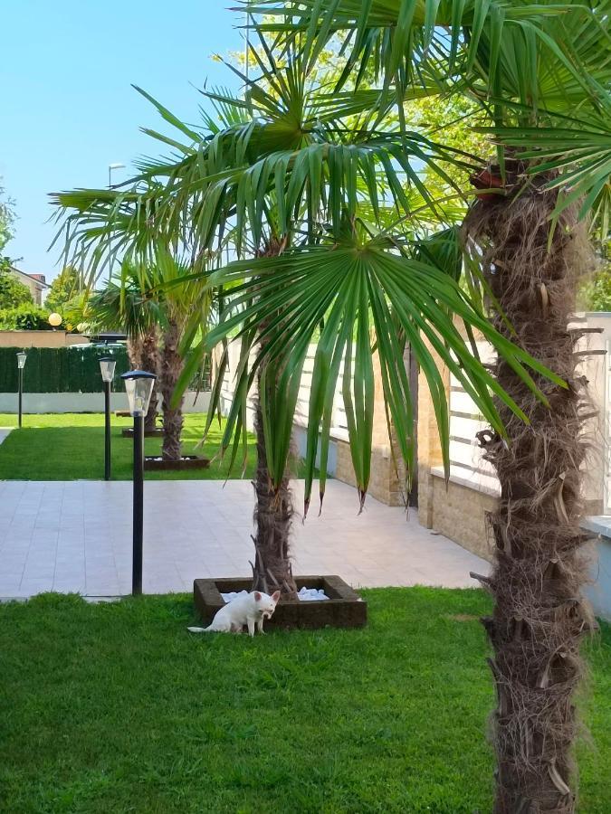 Residence Deamarina Marina di Massa Exterior foto